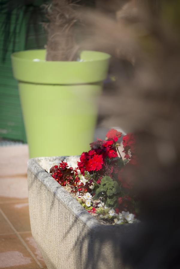 Bed and Breakfast Le Relais De St Martin Rilly-la-Montagne Екстер'єр фото